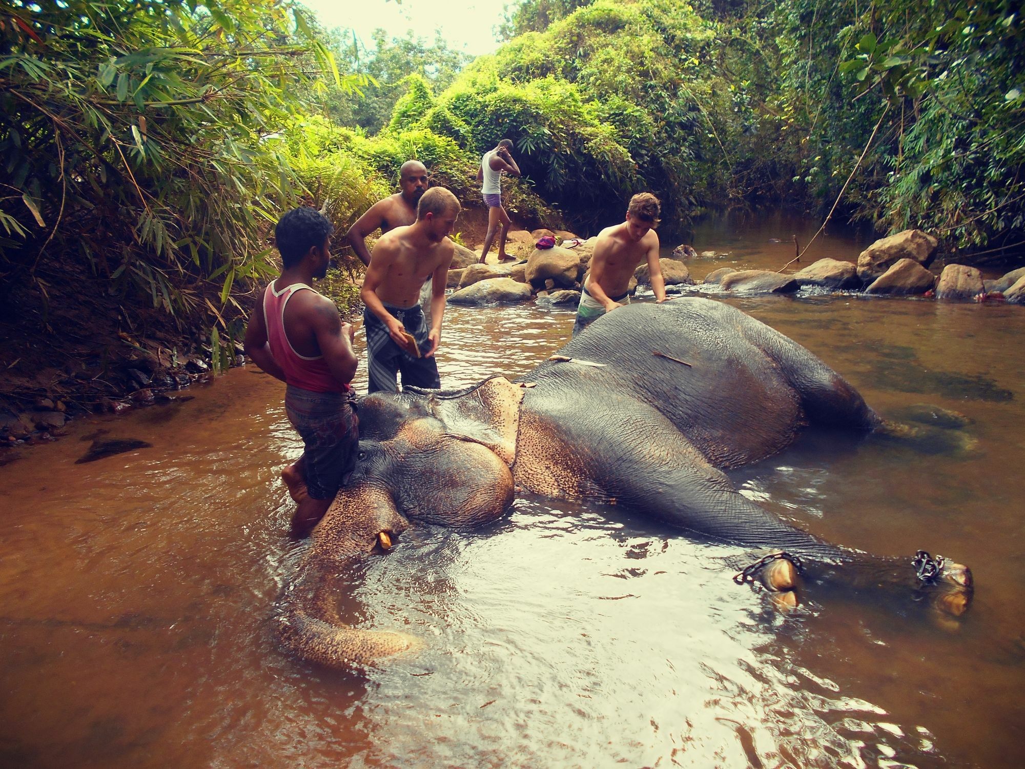 Sapphire Holiday Resort Ratnapura Dış mekan fotoğraf